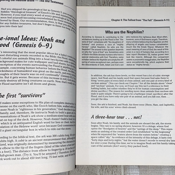 The Bible for Dummies book  FREE WITH PURCHASE - Picture 8 of 16